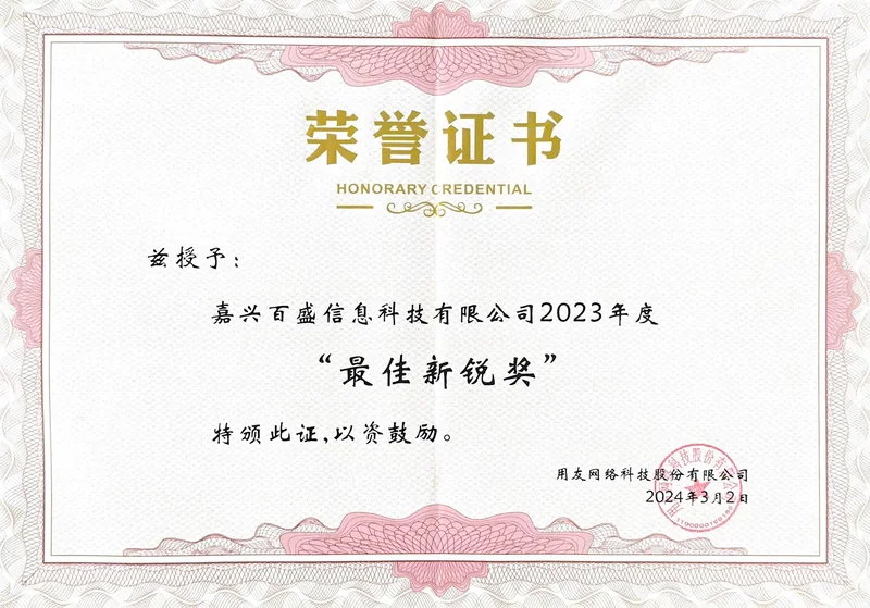 用友2023年度“最佳新锐奖”