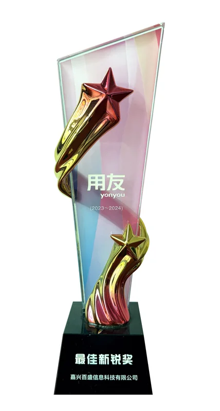 用友23-24最佳新锐奖