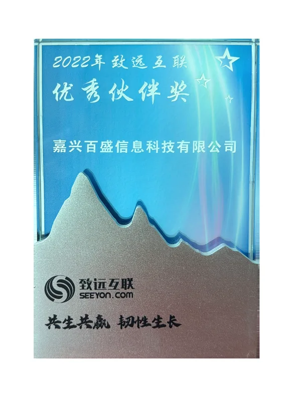 致远2022年优秀伙伴奖